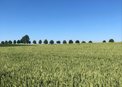 Bild der Landschaft rund um den Reitstall